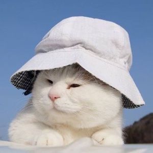 Meet your Posher, Hayley